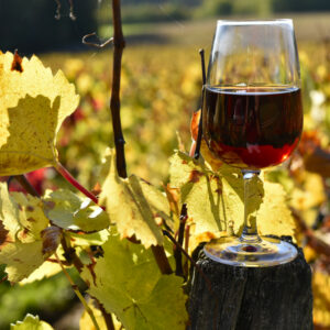 Vive le Beaujolais ! - 18 novembre 2025
