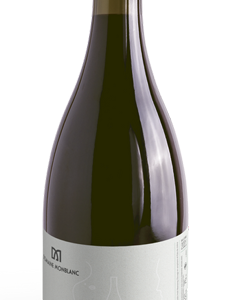Cuvée Emergence blanc sec 2022 Domaine Monblanc AOC Pacherenc du Vic-Bilh sec 75cl